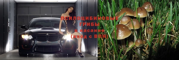 COCAINE Нефтекумск